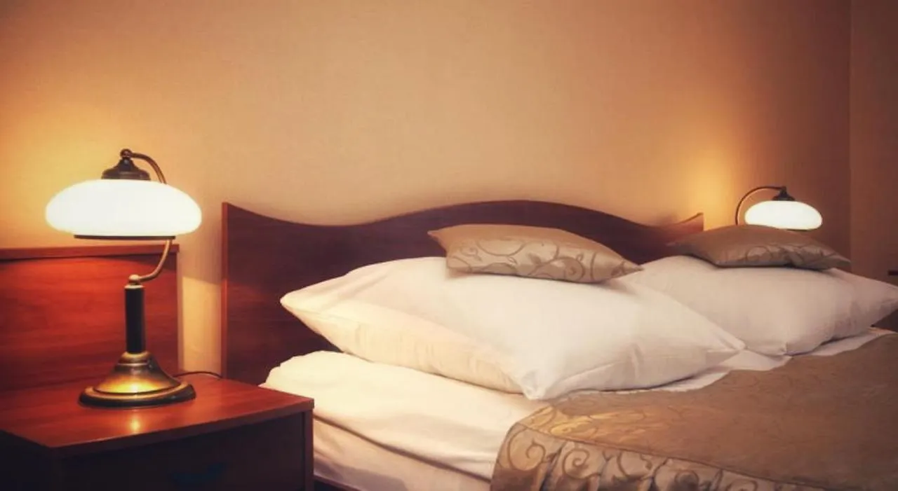 קרקוב Hotel Fortuna 3*,